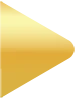 gold_bullet